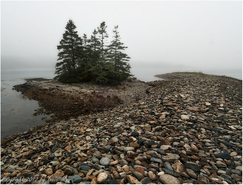 Schoodic Point